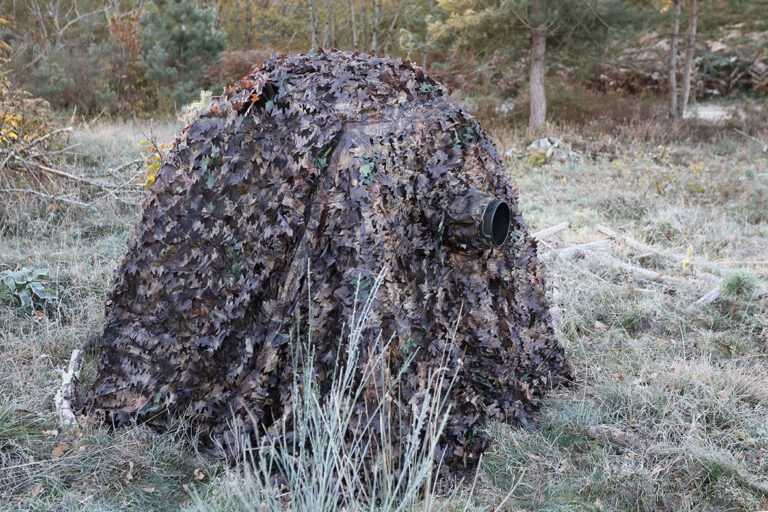 Tragopan camouflagenet