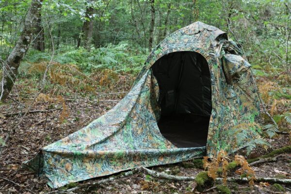 Tragopan V6 extensie