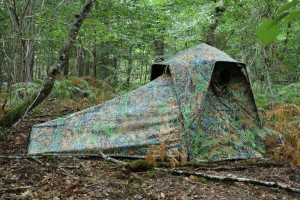 Tragopan V6 extensie - Afbeelding 4
